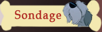Sondage