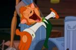 Pr�sentation g�n�rale de Danny le chat superstar