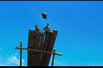 Despicable Me picture