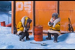 Despicable Me 2 picture