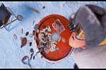 Despicable Me 2 picture
