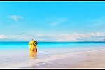 Minions picture