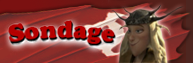 Sondage