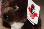 produits d�riv�s balto