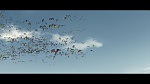 Dragons 2