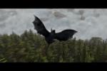 Gallerie d'images de Dragons 