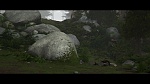 Image Dragons