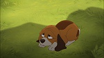 Fox and the Hound 2