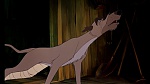 Fox and the Hound
