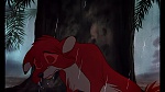 Fox and the Hound