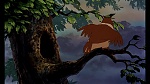 Fox and the Hound picture