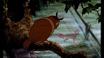Fox and the Hound picture