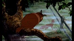 Fox and the Hound picture