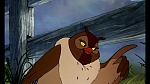Fox and the Hound picture