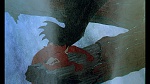 Fox and the Hound picture