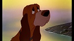 Fox and the Hound picture