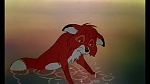 Fox and the Hound picture