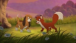 Fox and the Hound 2 picture