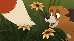 Fox and the Hound 2 picture