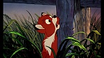 Fox and the Hound picture