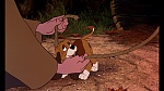Fox and the Hound