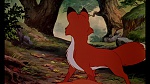 Fox and the Hound