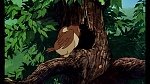 Fox and the Hound picture