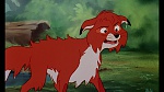 Fox and the Hound picture