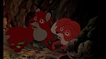 Fox and the Hound picture