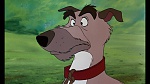 Fox and the Hound