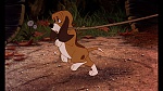Fox and the Hound