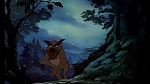 Fox and the Hound