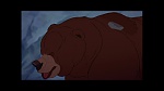 Image Brother Bear
