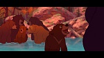 Image Brother Bear
