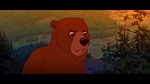 Image Brother Bear