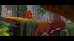 Image Brother Bear