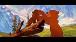 Image Brother Bear