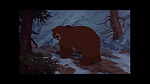 Image Brother Bear