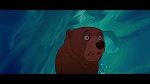 Image Brother Bear
