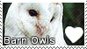 Barn Owls. by Monster-Boar