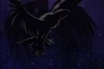 Importance of Animals in WQ : Part I