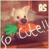 as_icon_4.jpg