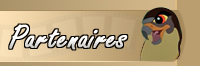 Partenaires