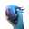 :SmilePerla: