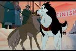 Incorrect sizes