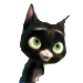Ange