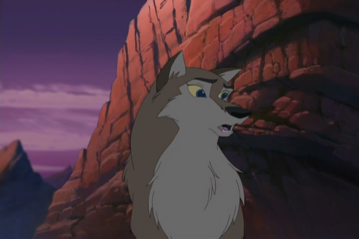 Wolf