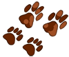 Lions