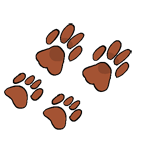Blazetail