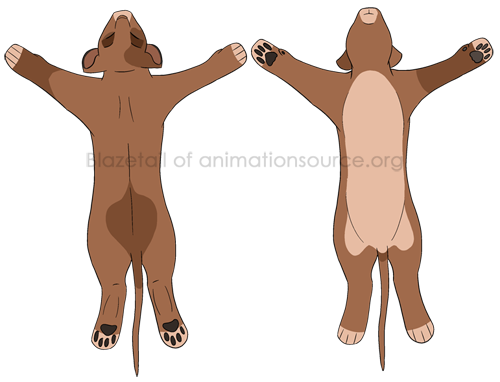 Lions